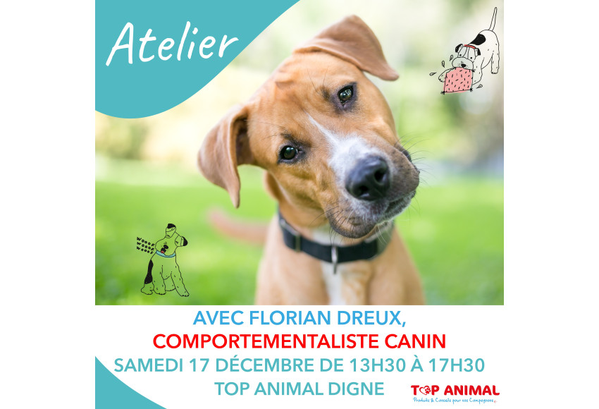 ANIMATION AVEC UN EDUCATEUR / COMPORTEMENTALISTE CANIN